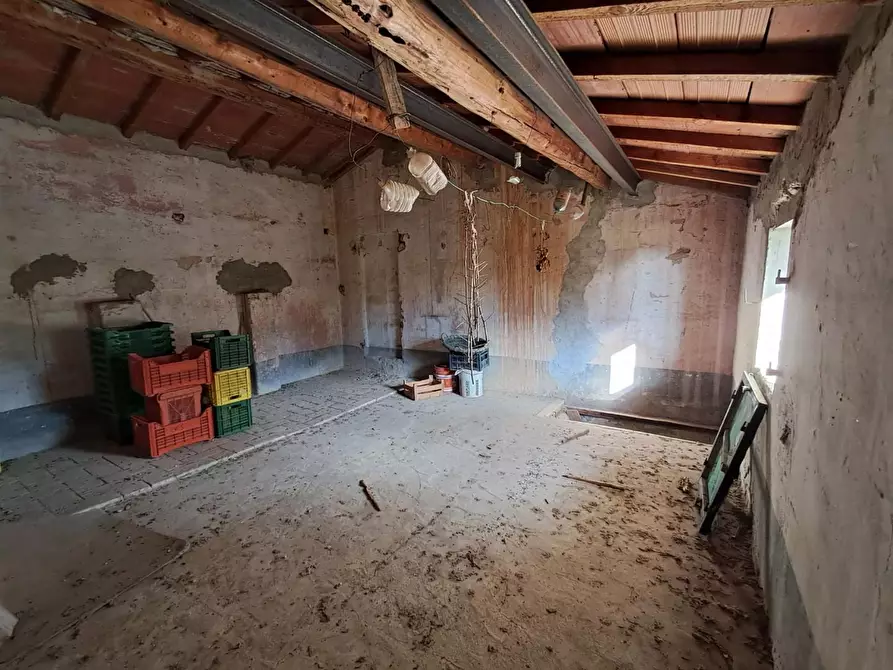 Immagine 18 di Rustico / casale in vendita  a Pontedera