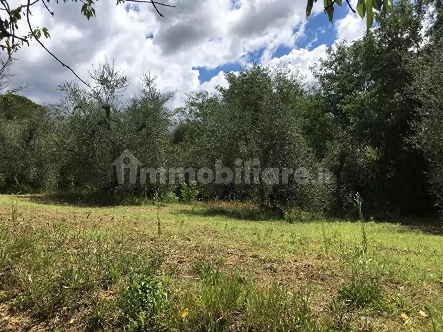 Immagine 34 di Rustico / casale in vendita  a Pontedera