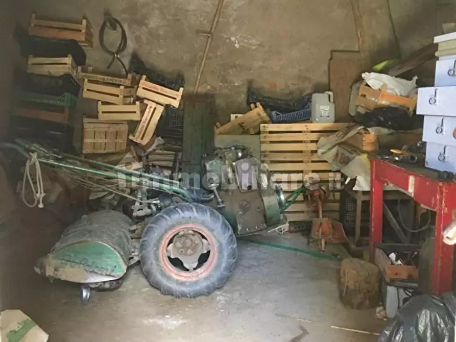 Immagine 39 di Rustico / casale in vendita  a Palaia