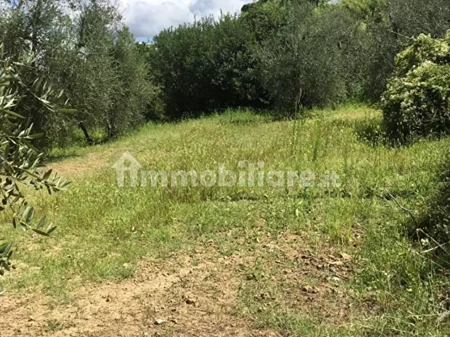 Immagine 35 di Rustico / casale in vendita  a Pontedera