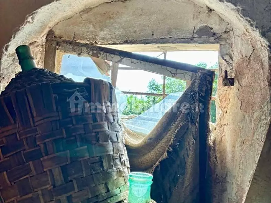 Immagine 42 di Rustico / casale in vendita  a Palaia