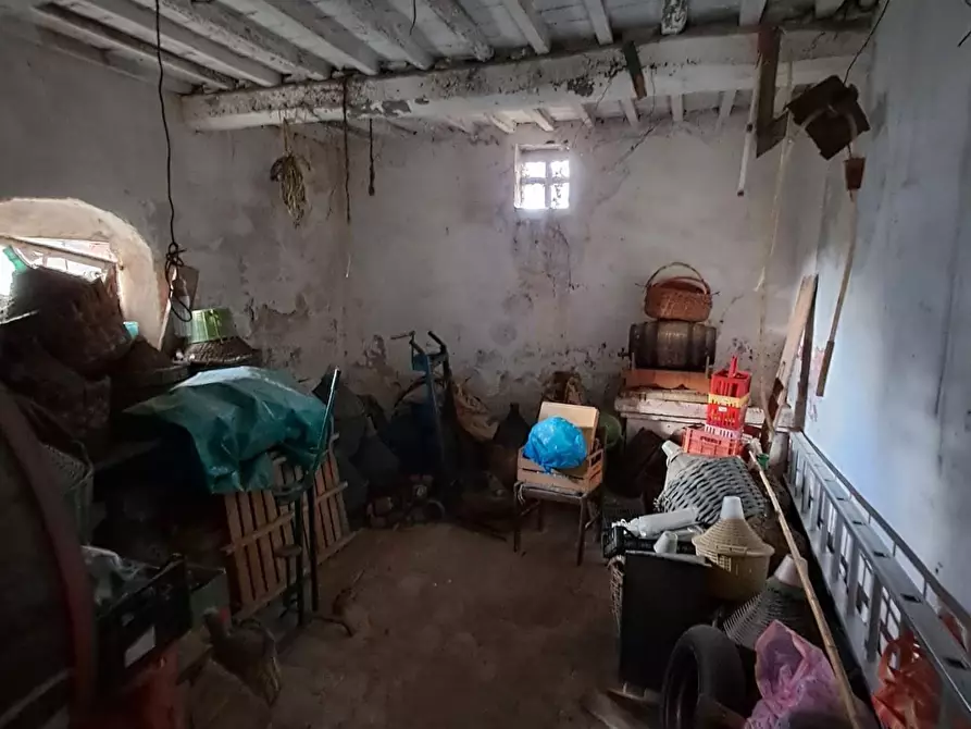 Immagine 27 di Rustico / casale in vendita  a Pontedera
