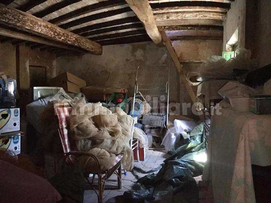 Immagine 43 di Rustico / casale in vendita  a Palaia