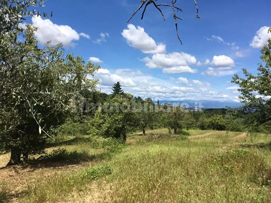 Immagine 37 di Rustico / casale in vendita  a Pontedera