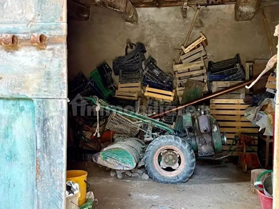 Immagine 41 di Rustico / casale in vendita  a Palaia