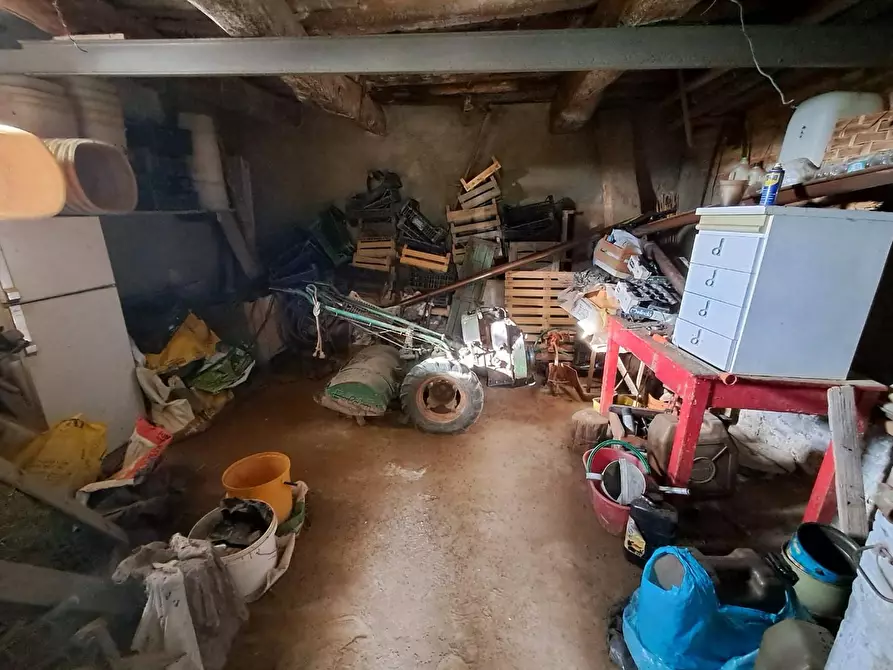 Immagine 25 di Rustico / casale in vendita  a Pontedera