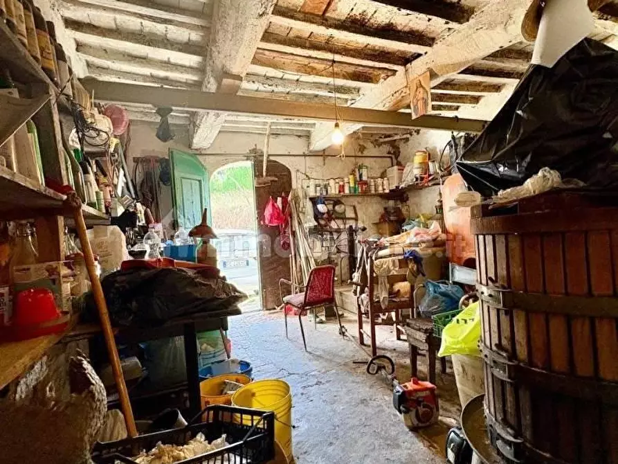Immagine 24 di Rustico / casale in vendita  a Pontedera