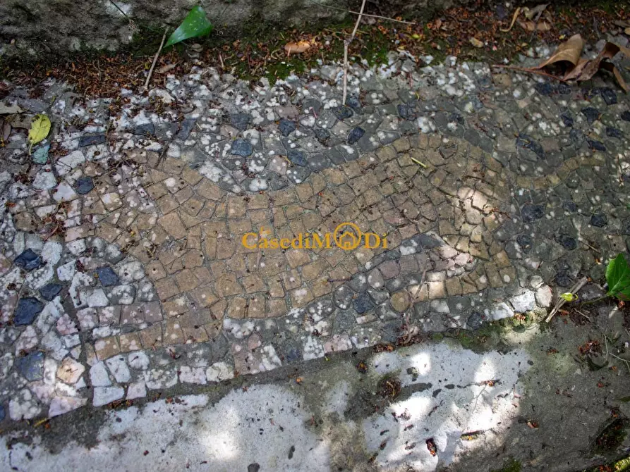 Immagine 69 di Villa in vendita  a Livorno