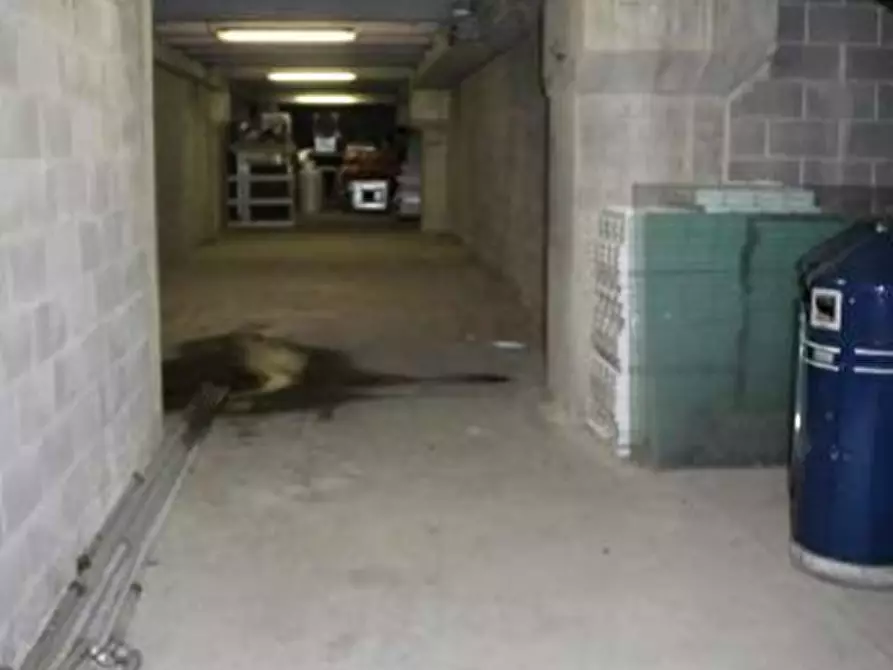 Immagine 11 di Negozio in vendita  a Cesano Maderno