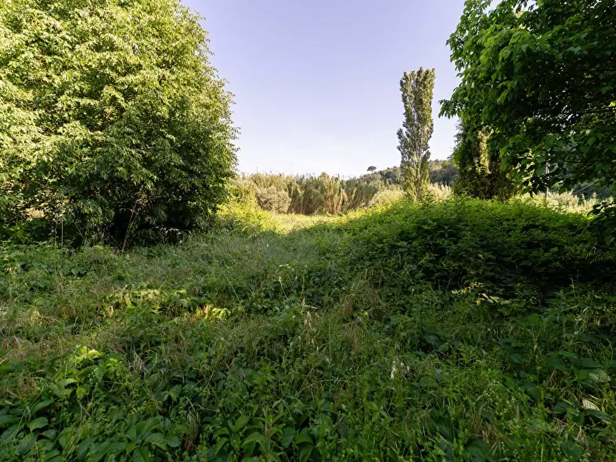 Immagine 33 di Porzione di casa in vendita  a Casciana Terme Lari