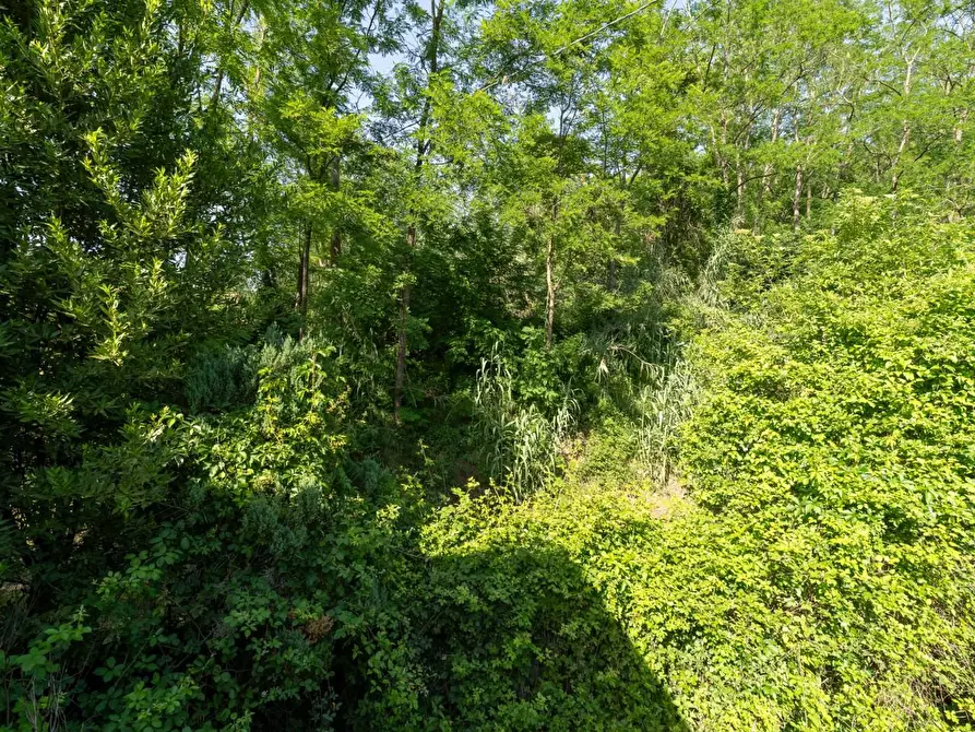 Immagine 29 di Porzione di casa in vendita  a Casciana Terme Lari