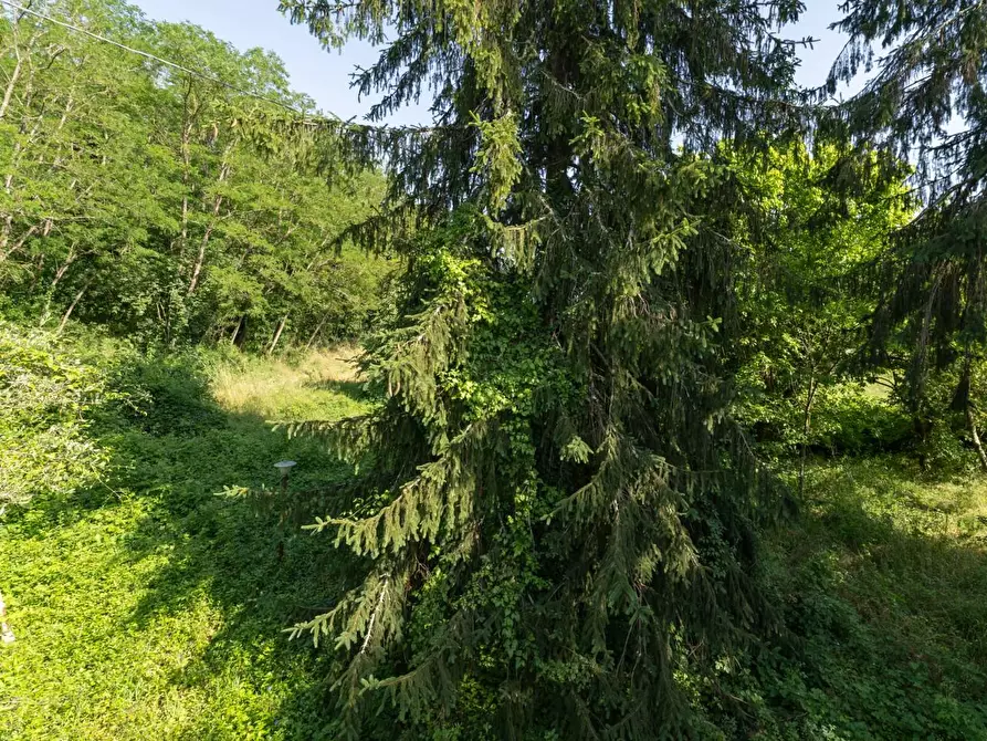 Immagine 28 di Porzione di casa in vendita  a Casciana Terme Lari