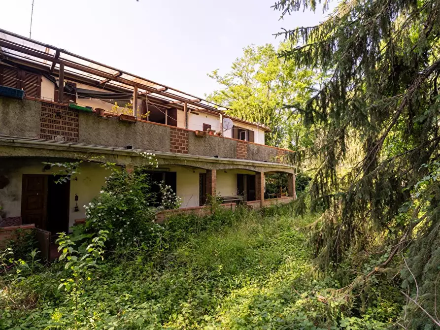 Immagine 17 di Porzione di casa in vendita  a Casciana Terme Lari