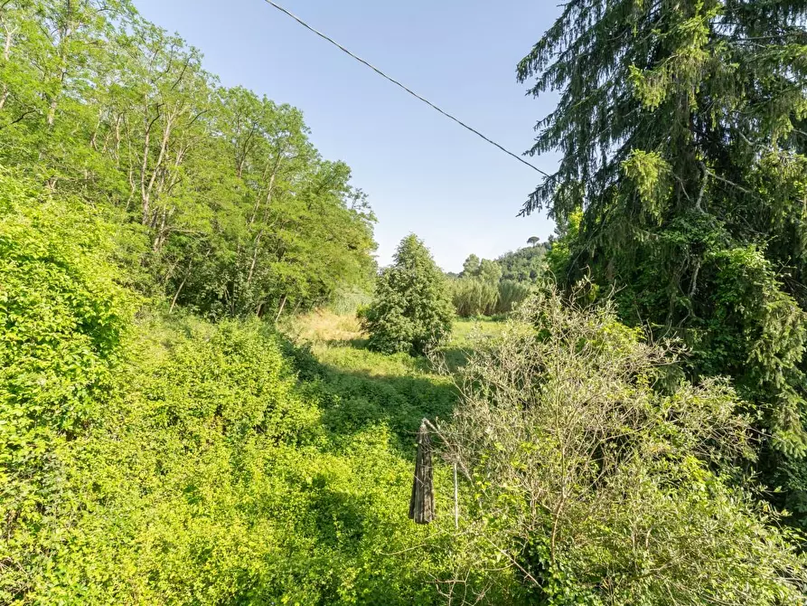 Immagine 30 di Porzione di casa in vendita  a Casciana Terme Lari
