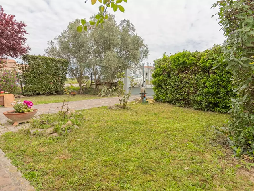 Immagine 53 di Villa in vendita  a Pisa