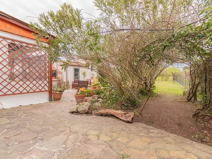 Immagine 50 di Villa in vendita  a Pisa