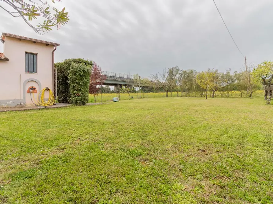 Immagine 48 di Villa in vendita  a Pisa