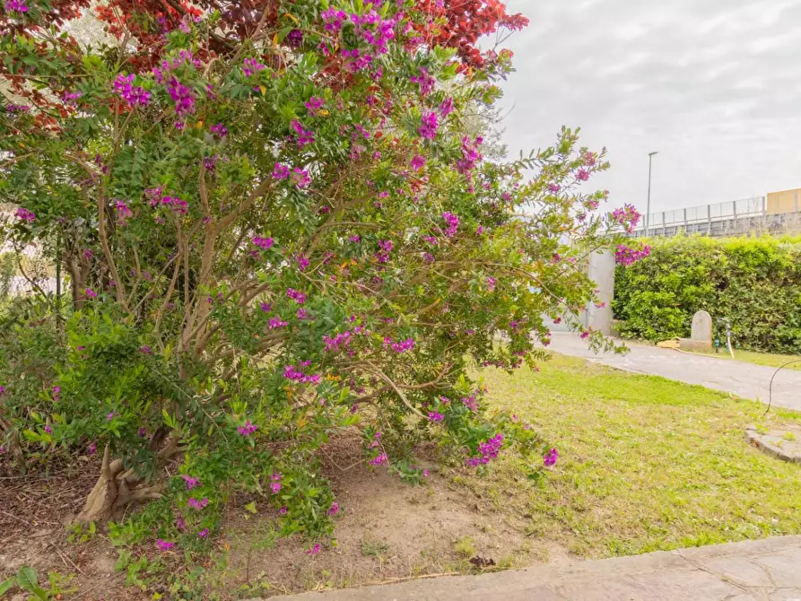 Immagine 51 di Villa in vendita  a Pisa