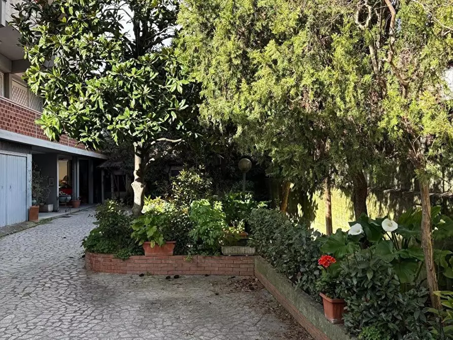 Immagine 2 di Palazzo in vendita  a Carrara