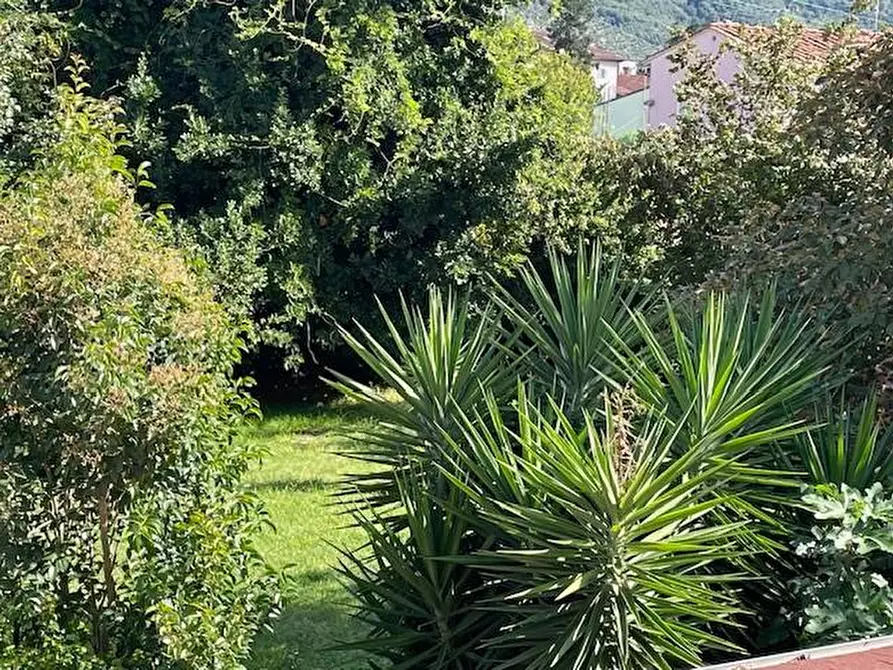 Immagine 20 di Casa colonica in vendita  a San Giuliano Terme