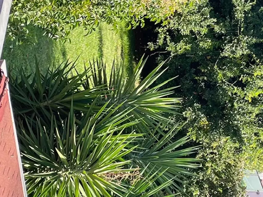 Immagine 19 di Casa colonica in vendita  a San Giuliano Terme