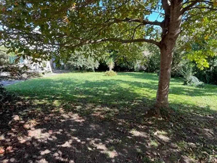 Immagine 22 di Casa colonica in vendita  a San Giuliano Terme