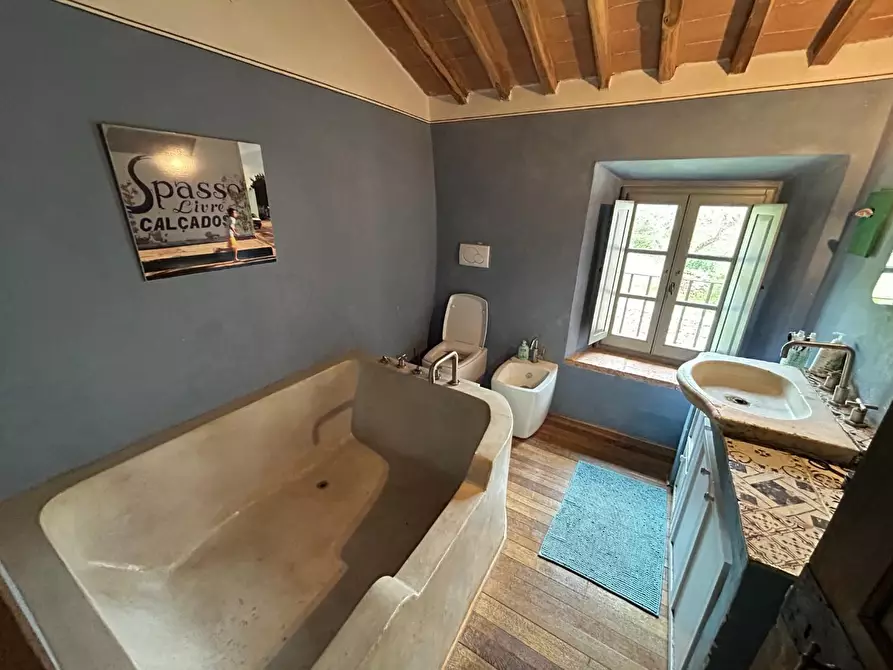 Immagine 19 di Casa colonica in vendita  a Monteriggioni