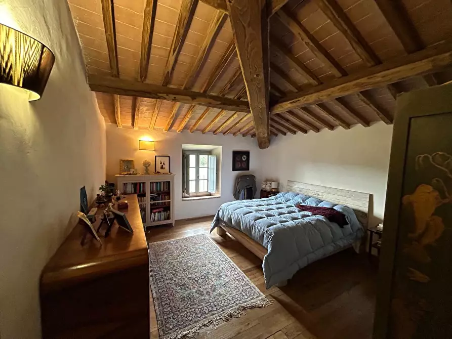 Immagine 23 di Casa colonica in vendita  a Monteriggioni