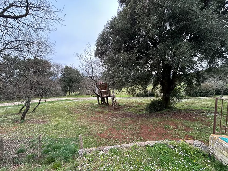 Immagine 53 di Casa colonica in vendita  a Monteriggioni