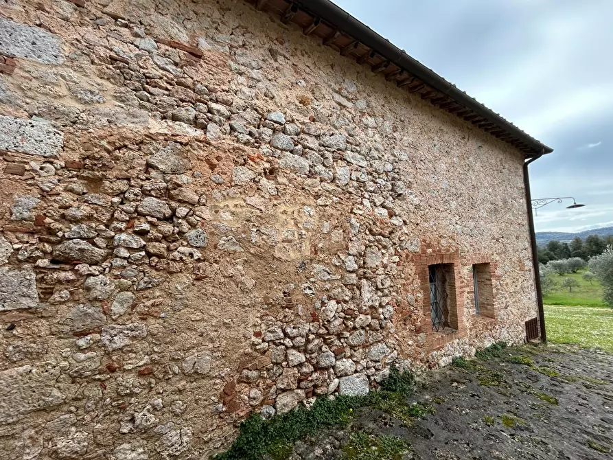 Immagine 5 di Casa colonica in vendita  a Monteriggioni