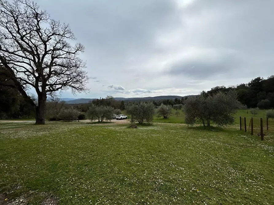 Immagine 4 di Casa colonica in vendita  a Monteriggioni