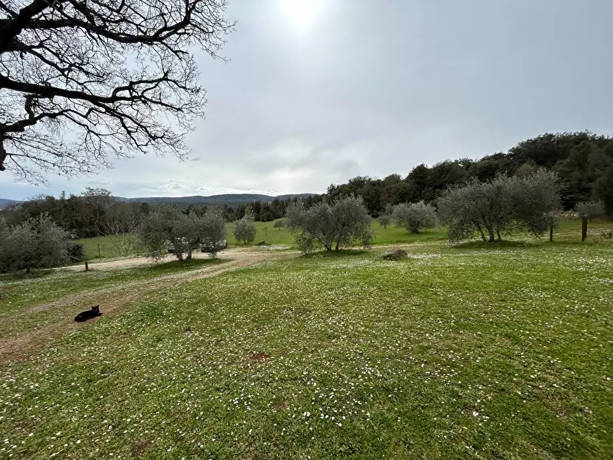 Immagine 50 di Casa colonica in vendita  a Monteriggioni