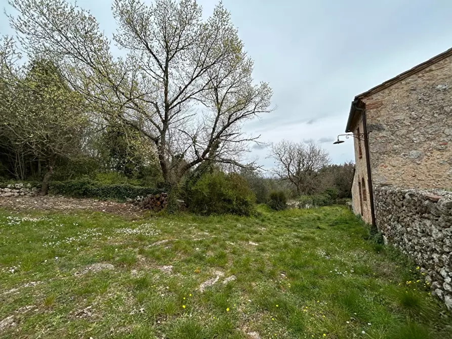 Immagine 3 di Casa colonica in vendita  a Monteriggioni
