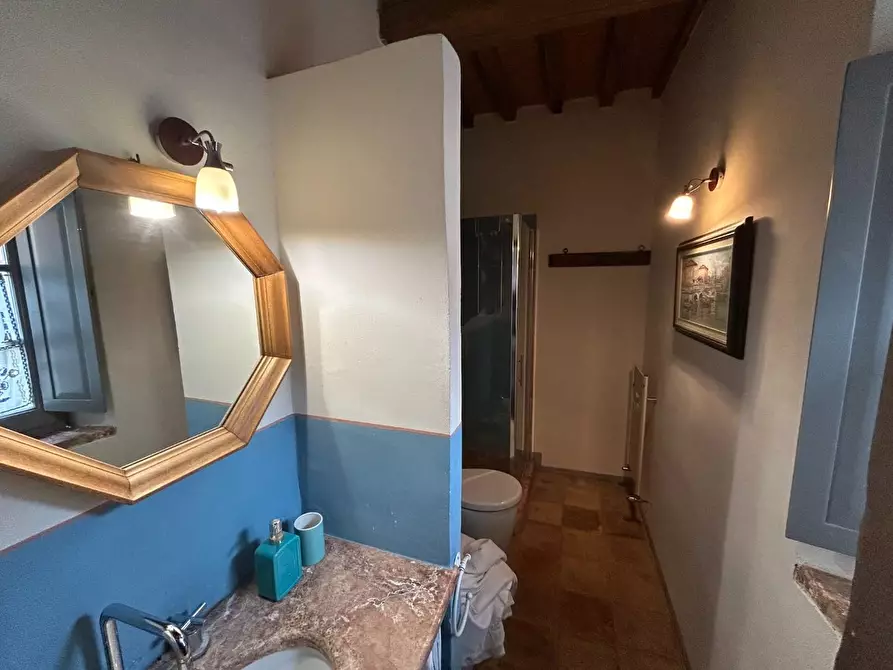 Immagine 41 di Casa colonica in vendita  a Monteriggioni