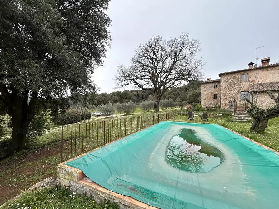 Immagine 52 di Casa colonica in vendita  a Monteriggioni