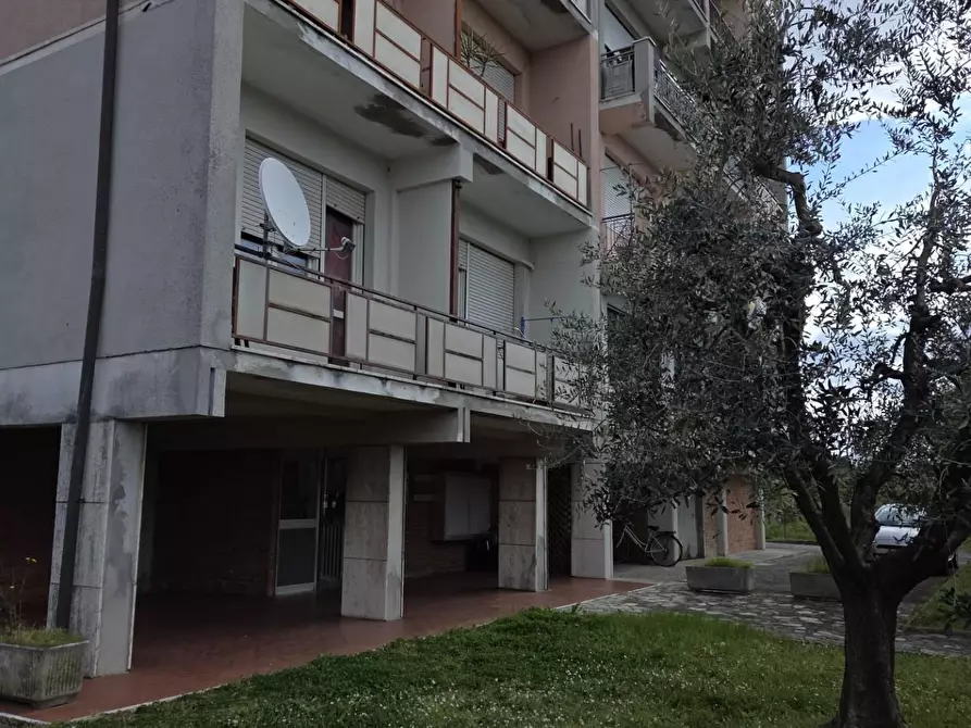 Immagine 3 di Appartamento in vendita  a Porcari