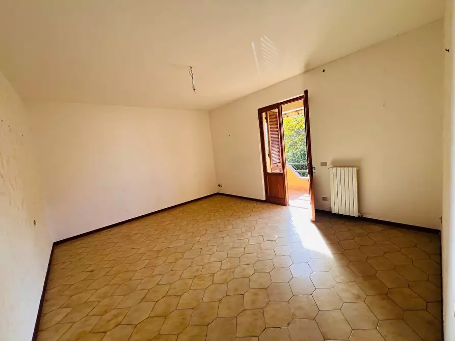 Immagine 8 di Appartamento in vendita  a Castagneto Carducci