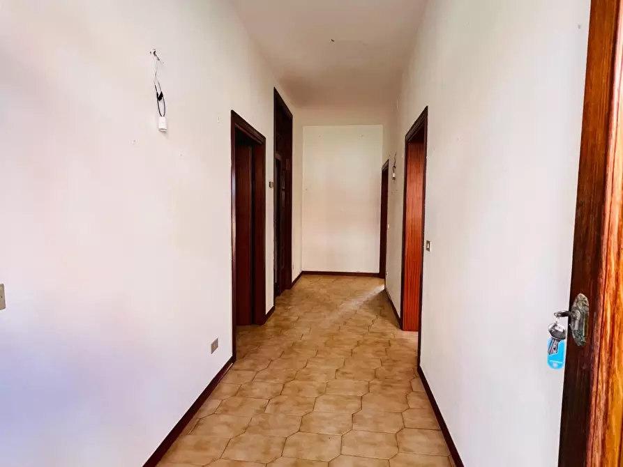 Immagine 5 di Appartamento in vendita  a Castagneto Carducci