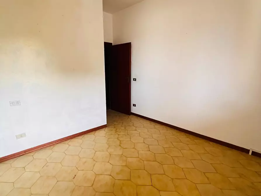 Immagine 14 di Appartamento in vendita  a Castagneto Carducci