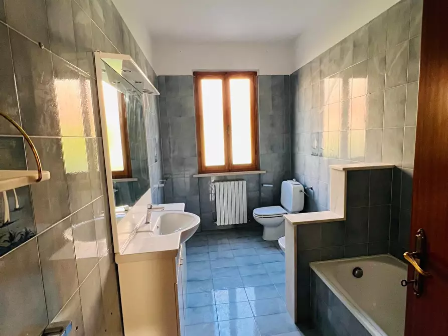 Immagine 9 di Appartamento in vendita  a Castagneto Carducci