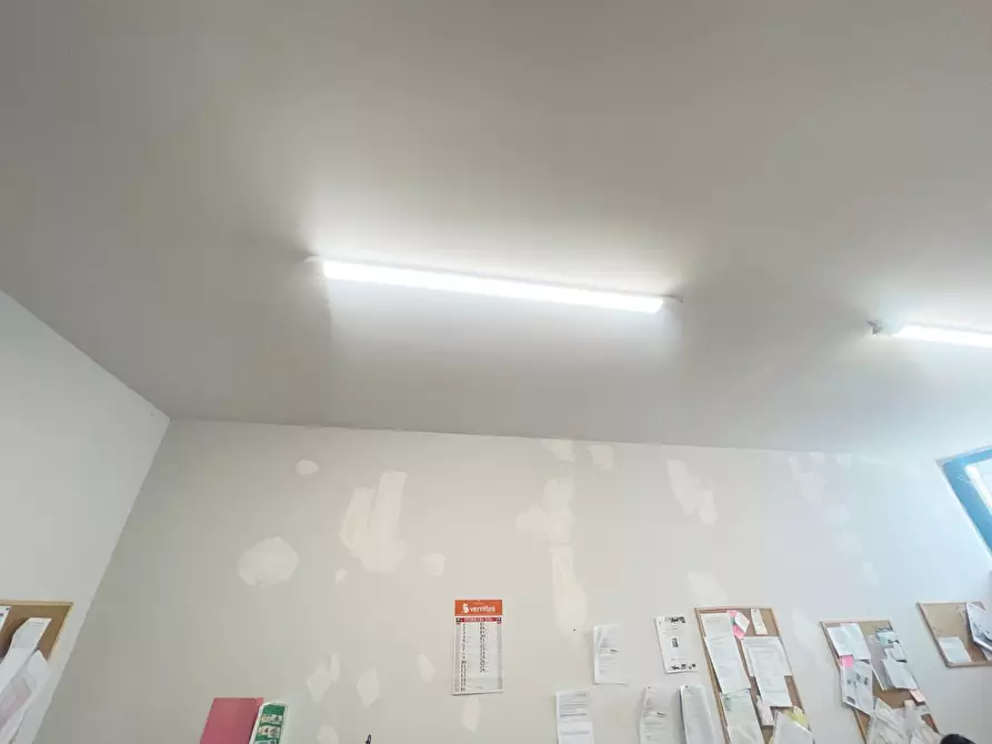 Immagine 6 di Magazzino in affitto  a Vicopisano
