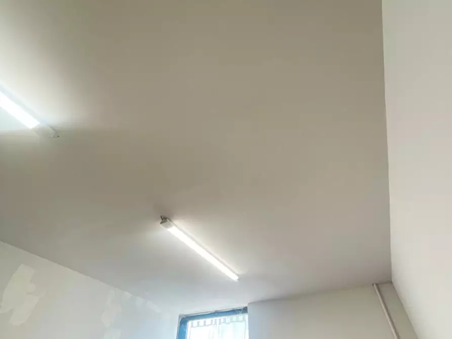 Immagine 4 di Magazzino in affitto  a Vicopisano