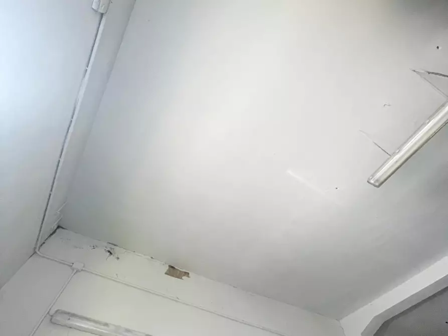 Immagine 2 di Magazzino in affitto  a Vicopisano