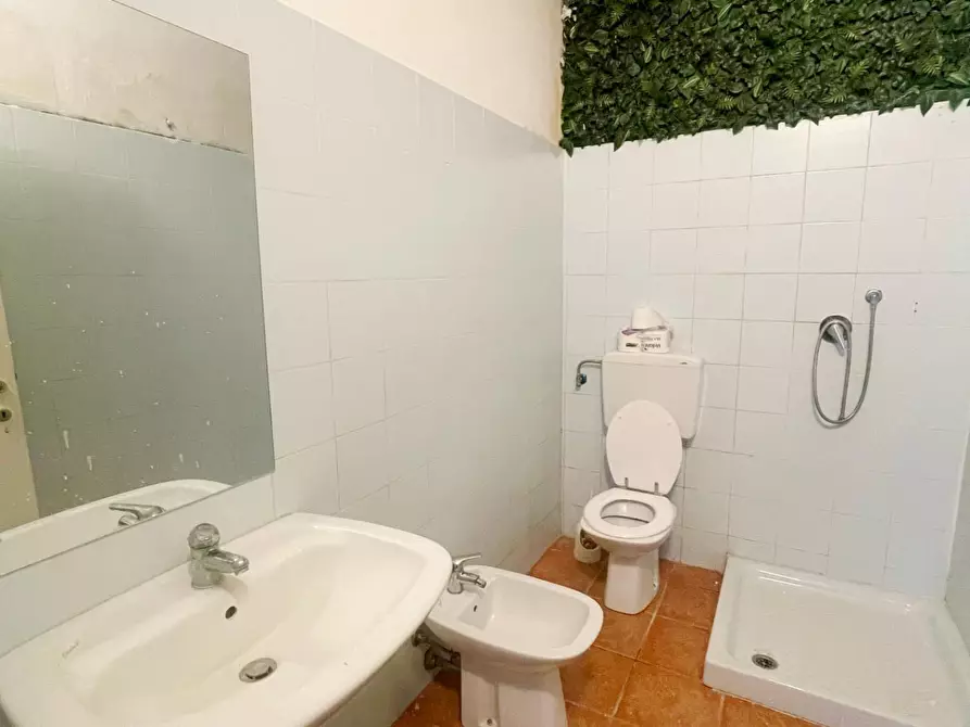 Immagine 6 di Capannone industriale in affitto  a Vicopisano