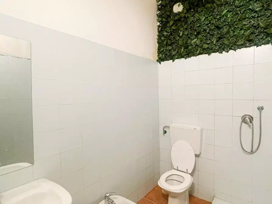 Immagine 8 di Capannone industriale in affitto  a Vicopisano