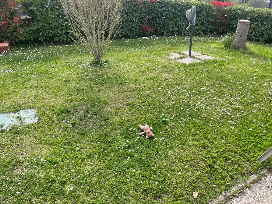 Immagine 15 di Appartamento in vendita  a Poggibonsi