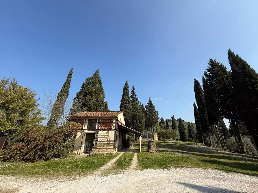 Immagine 30 di Villa in vendita  a Cerreto Guidi