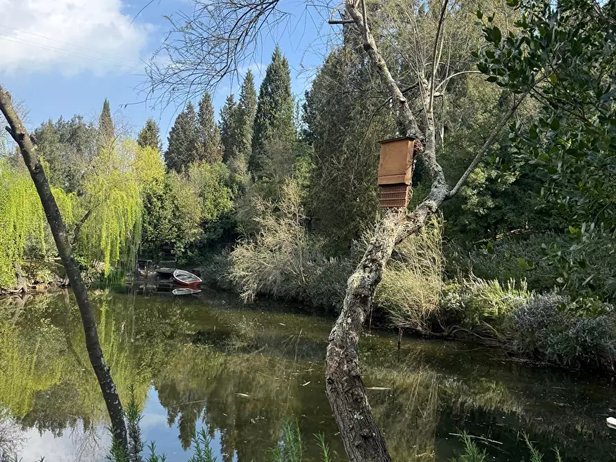 Immagine 64 di Villa in vendita  a Cerreto Guidi