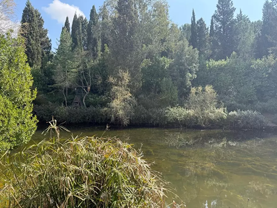 Immagine 62 di Villa in vendita  a Cerreto Guidi