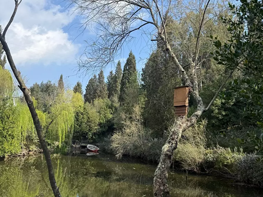 Immagine 65 di Villa in vendita  a Cerreto Guidi